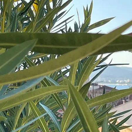 La Maison Villa *