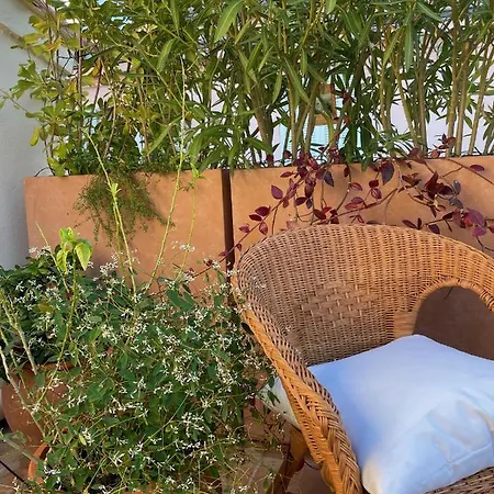 La Maison Cannes